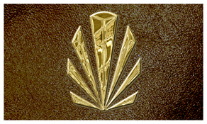 DNSEMP-C-602-GD-SH-BR Gold Sunburst Shimmer Brown